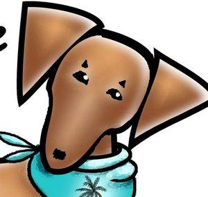 Dachshund Rescue South Florida