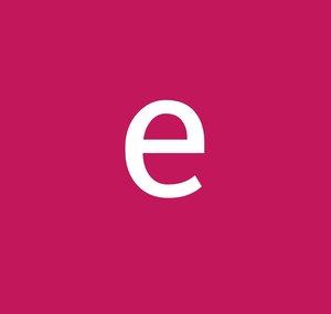 ensanizzle