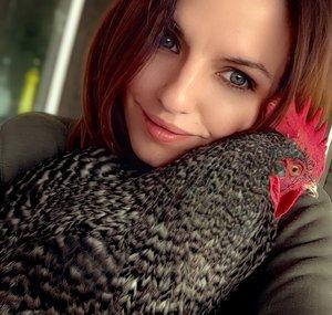 Hatchit Farms