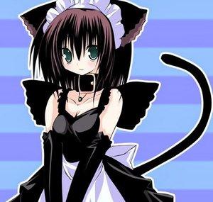 kitty marie