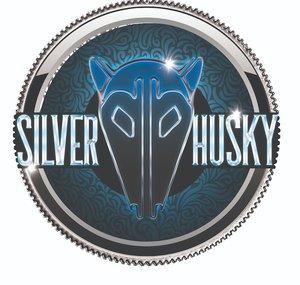 Silver Husky