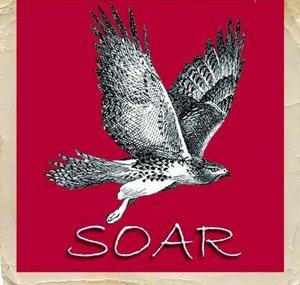 SOARRaptors