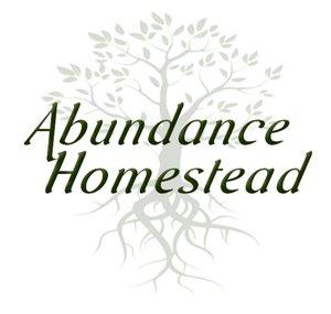 Abundance Homestead