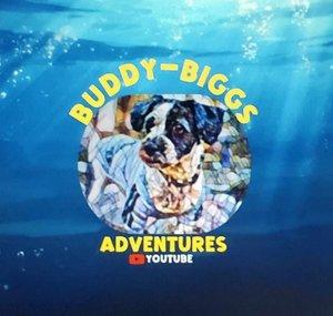 Buddy Biggs Adventures