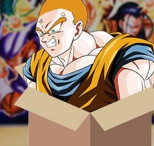 Dokkan Assets Unboxing
