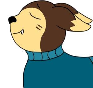 Donnimation