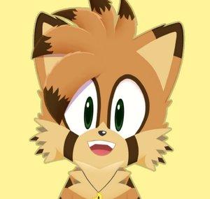 Dylan & Raichu
