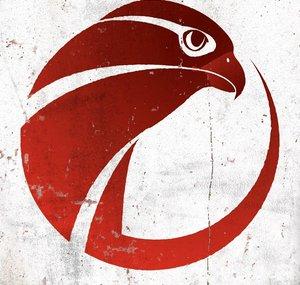 Falcon Paladin SC2