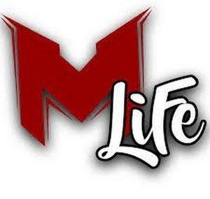 MrLEV12'Life