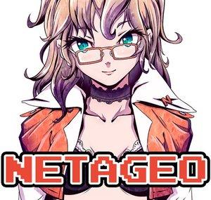 Netageo [fr]