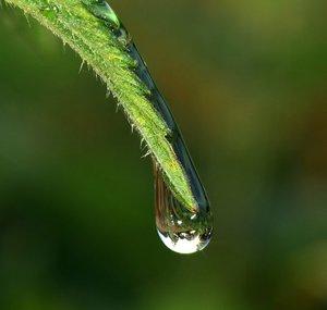 Relaxing Rain Sounds