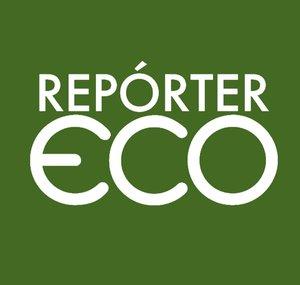 Repórter Eco