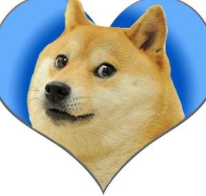 shinamiEBA