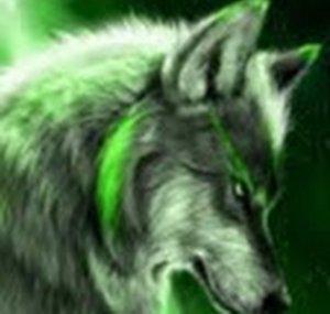 Wild Wolf