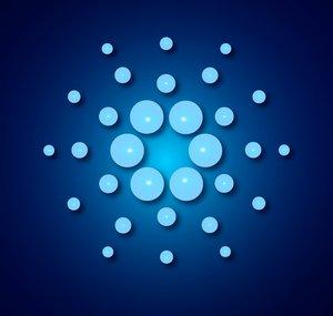 CARDANO [CEO]