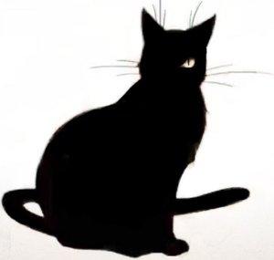Gato Negro