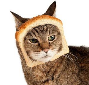 GatoPan