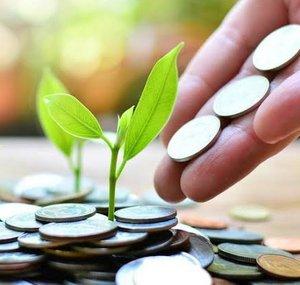 INVESTIR E INSISTIR