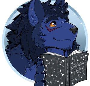 Les lectures du loup