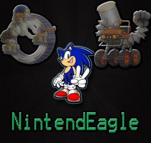 NintendEagle2464