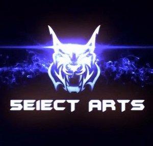 sᴇʟᴇcᴛ ᴀʀᴛs # reopened