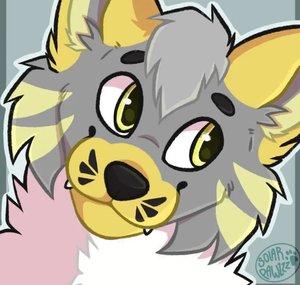 TheCoyote_Kito