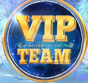 VIPTeam