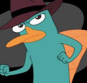 Beaver Duck