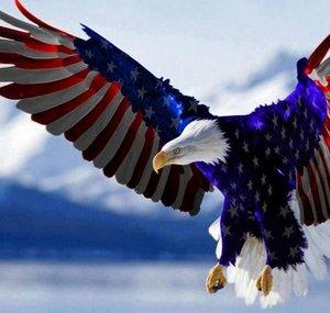 freeamerican100
