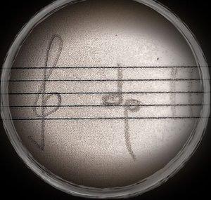 Gareev Composer Scores