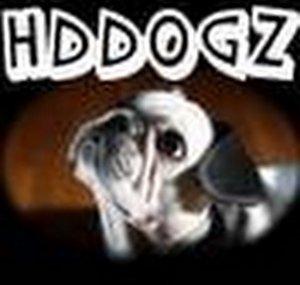HDDogz