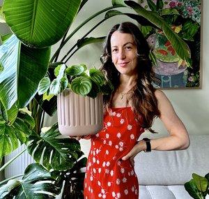 Jacintha | Pass That Plant
