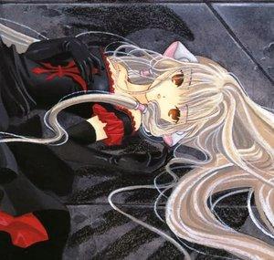 mikokoki