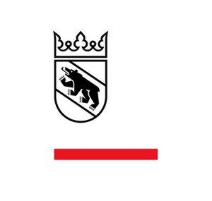 Steuern Kanton Bern