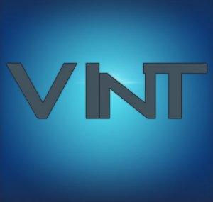 TeamVInT