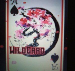 WildCard 4732