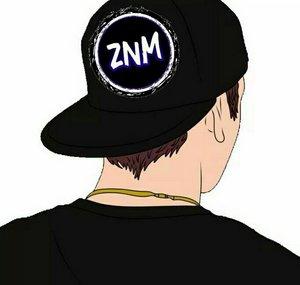Zone Network Music ZNM