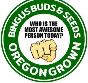 Bingus