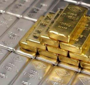 canadiansilvervein