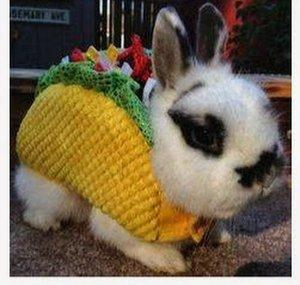 Conetaco