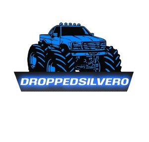 DroppedSilver 0
