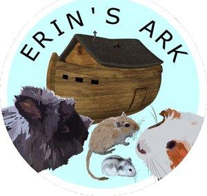 Erin's Ark Vlogs