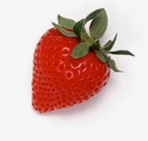 foodskey