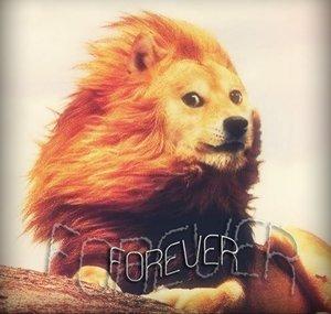 Forever :3