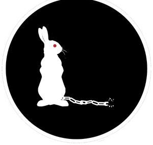 Free The Rabbits