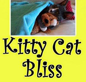 Kitty Cat Bliss