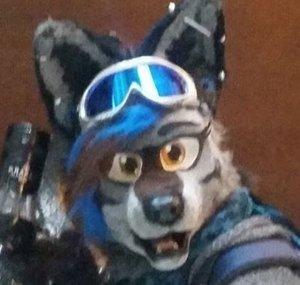 KOttoWolf