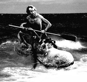 Norman Castaway