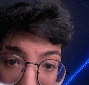 Picashu