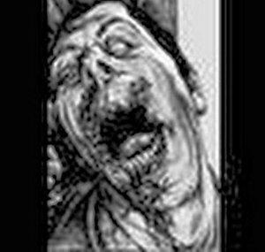 zomifud2